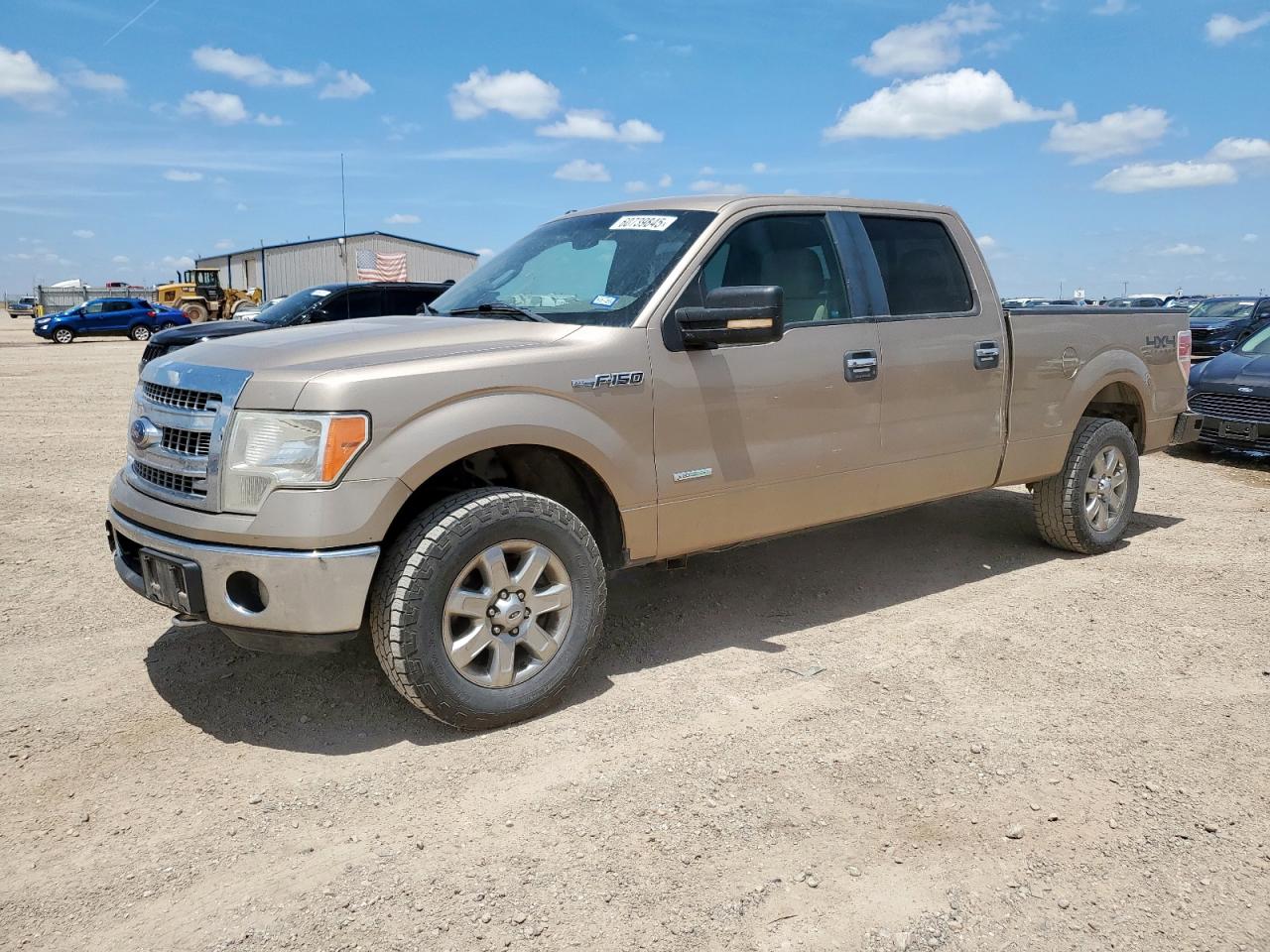 2013 Ford F150 Supercrew for Sale in Amarillo, TX - Hail