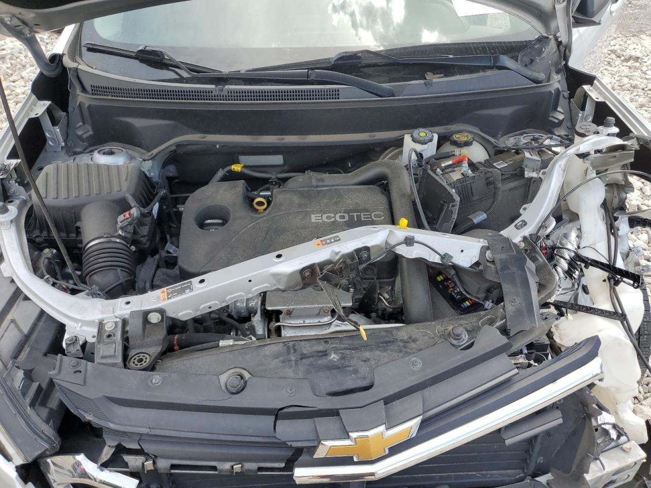 2019 Chevrolet Equinox Ls VIN: 2GNAXHEV5K6134636 Lot: 62427915