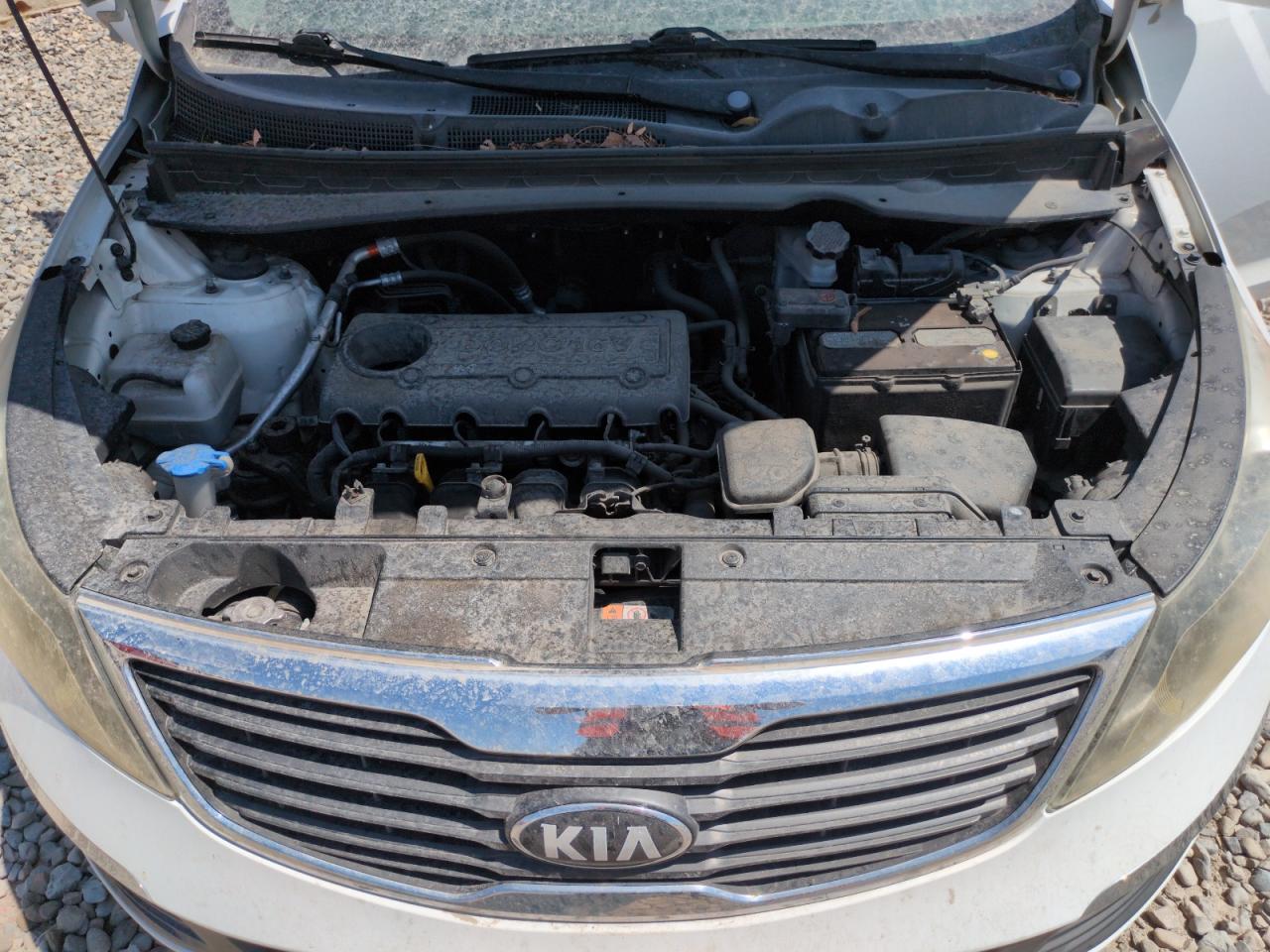 2013 Kia Sportage Lx VIN: KNDPBCA26D7441199 Lot: 62295015