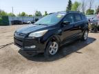 2013 FORD ESCAPE SE   for sale at Copart ON - TORONTO