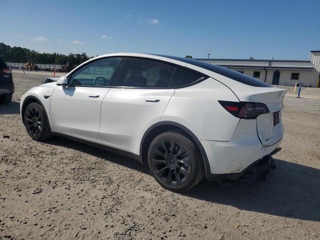  TESLA MODEL Y 2024 White