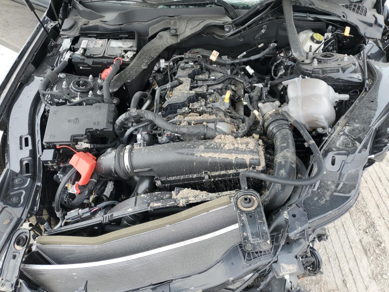 1FA6P8TH8R5137120 FORD ALL Models 2024
