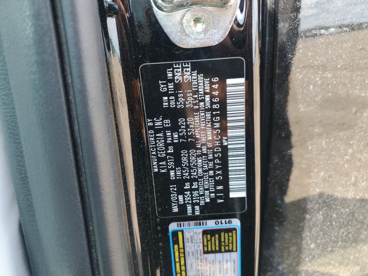 2021 Kia Telluride Sx VIN: 5XYP5DHC5MG186446 Lot: 62232505