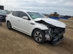 2013 Kia Optima Hybrid   продається в Brighton, CO - Front End