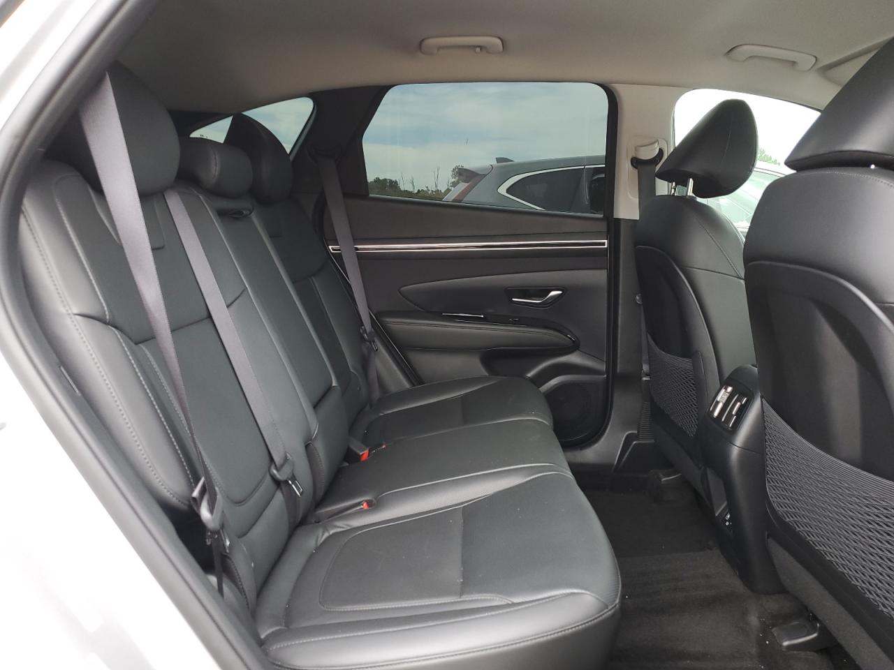 2023 Hyundai Tucson N Line VIN: KM8JFCAE8PU175982 Lot: 62172915