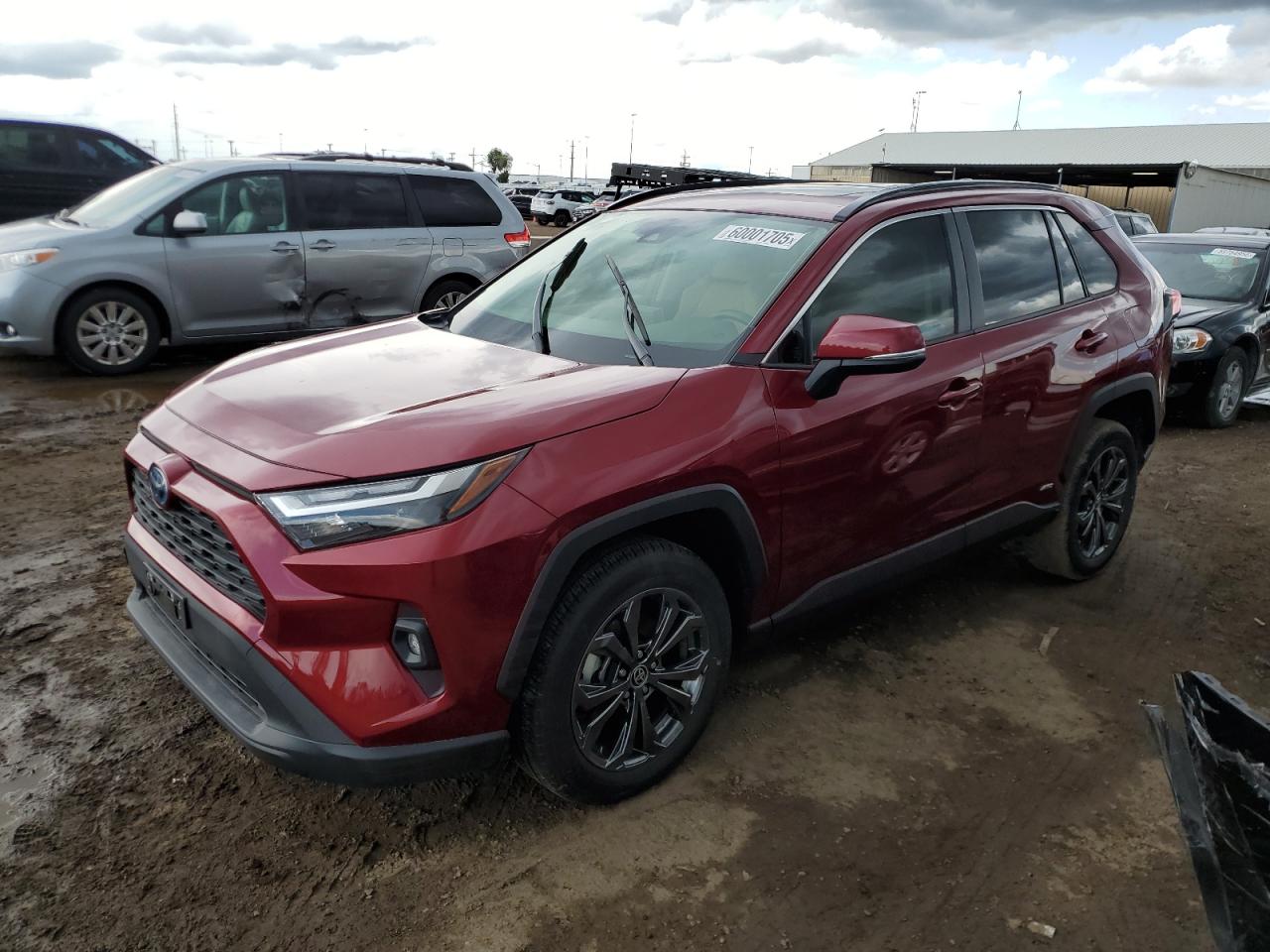 Brighton, CO에서 판매 중인 2024 Toyota Rav4 Xle Premium - Front End
