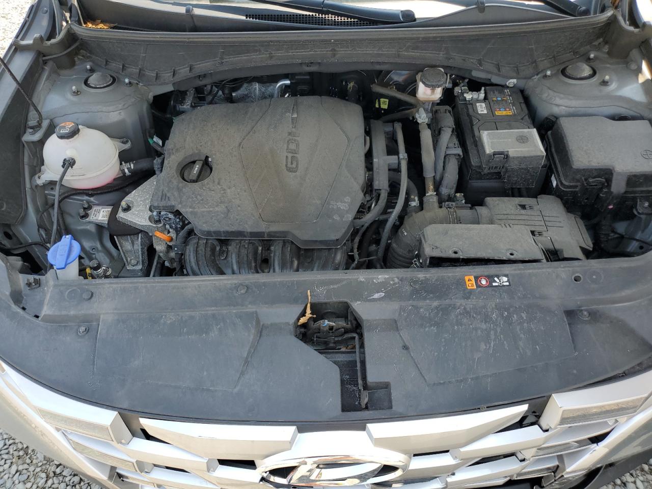 2024 Hyundai Santa Cruz Sel VIN: 5NTJBDAE4RH097088 Lot: 61452945