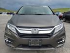 2019 Honda Odyssey Touring за продажба в Littleton, CO - Hail