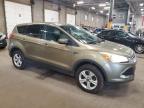 2014 Ford Escape Se იყიდება Blaine-ში, MN - Minor Dent/Scratches