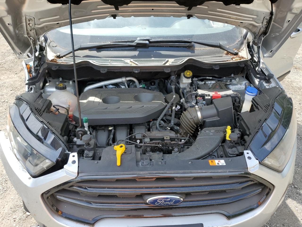 2019 Ford Ecosport Ses VIN: MAJ6S3JL3KC264156 Lot: 62353135