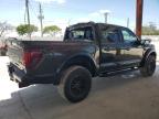 2024 Ford F150 Raptor   for Sale in Homestead, FL - Top/Roof