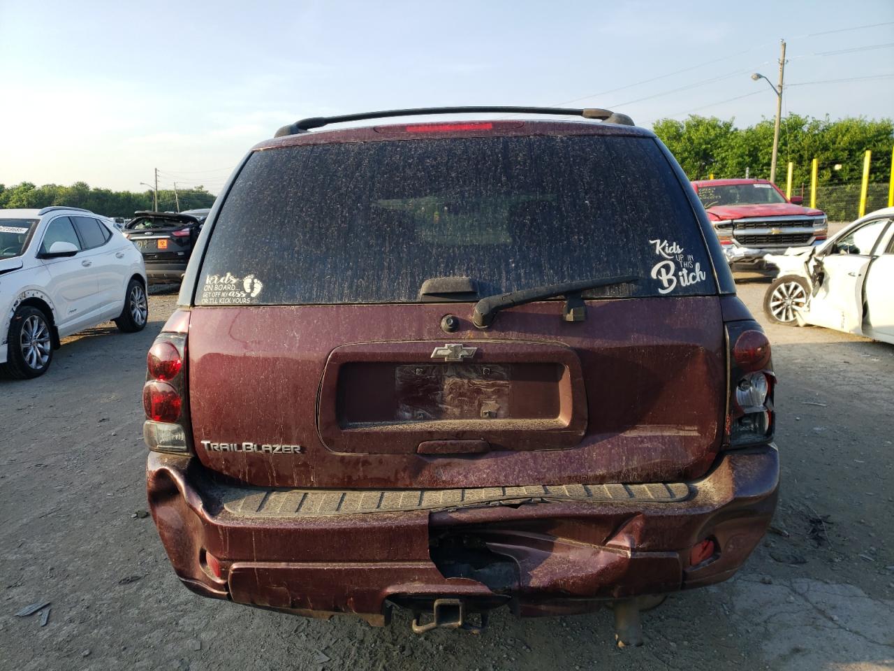 2002 Chevrolet Trailblazer VIN: 1GNDT13S622455980 Lot: 61785735