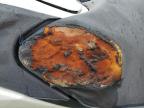 2006 Kawasaki Jet Ski for Sale in Columbia, MO - Burn - Interior