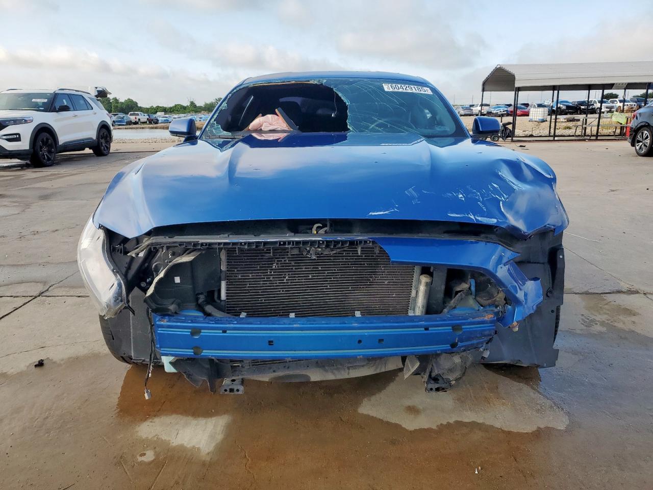 1FA6P8AM0H5347225 FORD ALL Models 2017