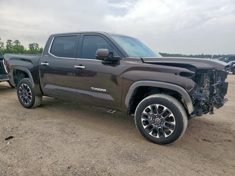  TOYOTA TUNDRA 2024 Brązowy