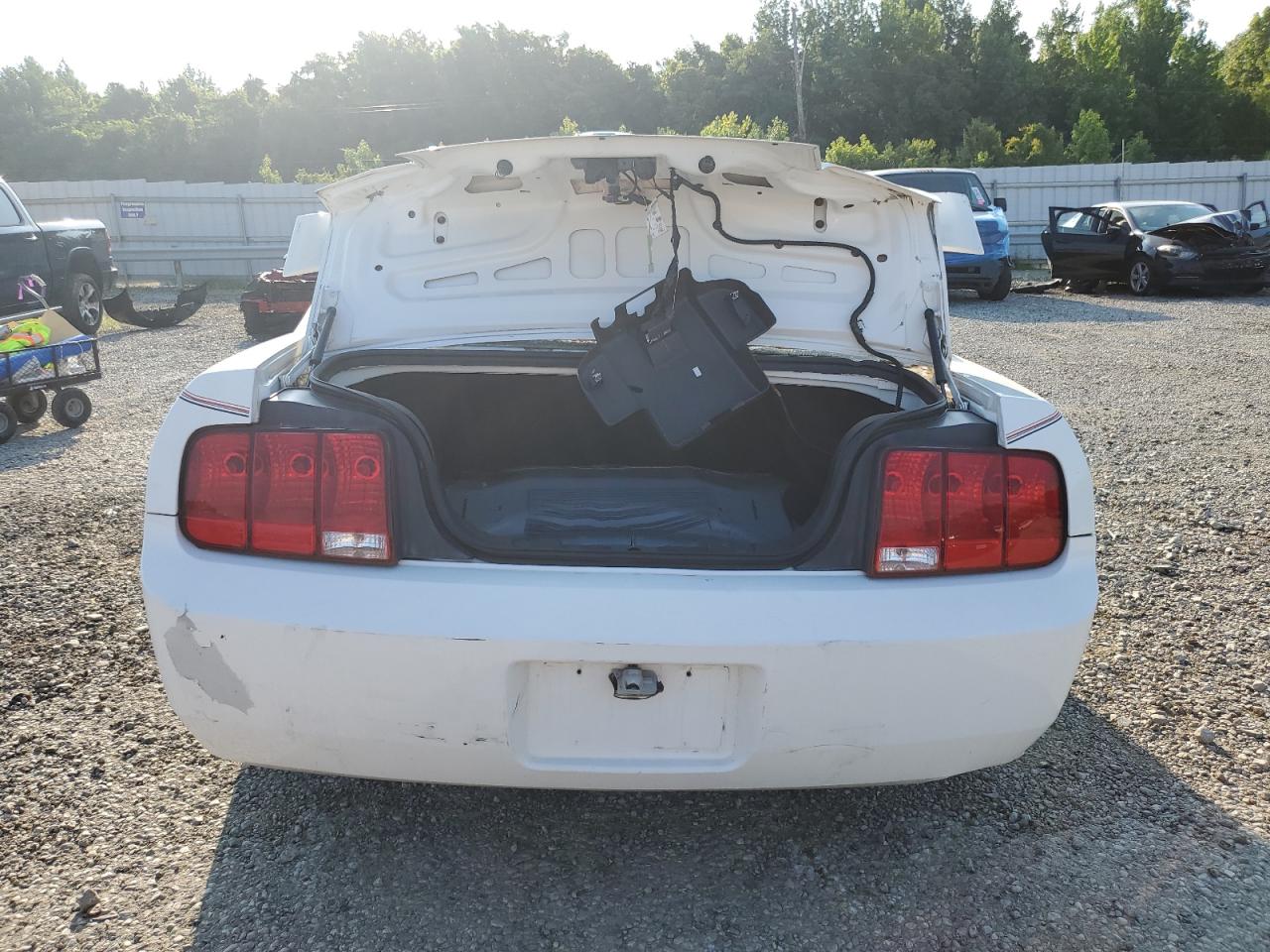 2006 Ford Mustang VIN: 1ZVFT80NX65180060 Lot: 62025735