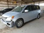 2010 Honda Odyssey Exl zu verkaufen in Phoenix, AZ - Front End