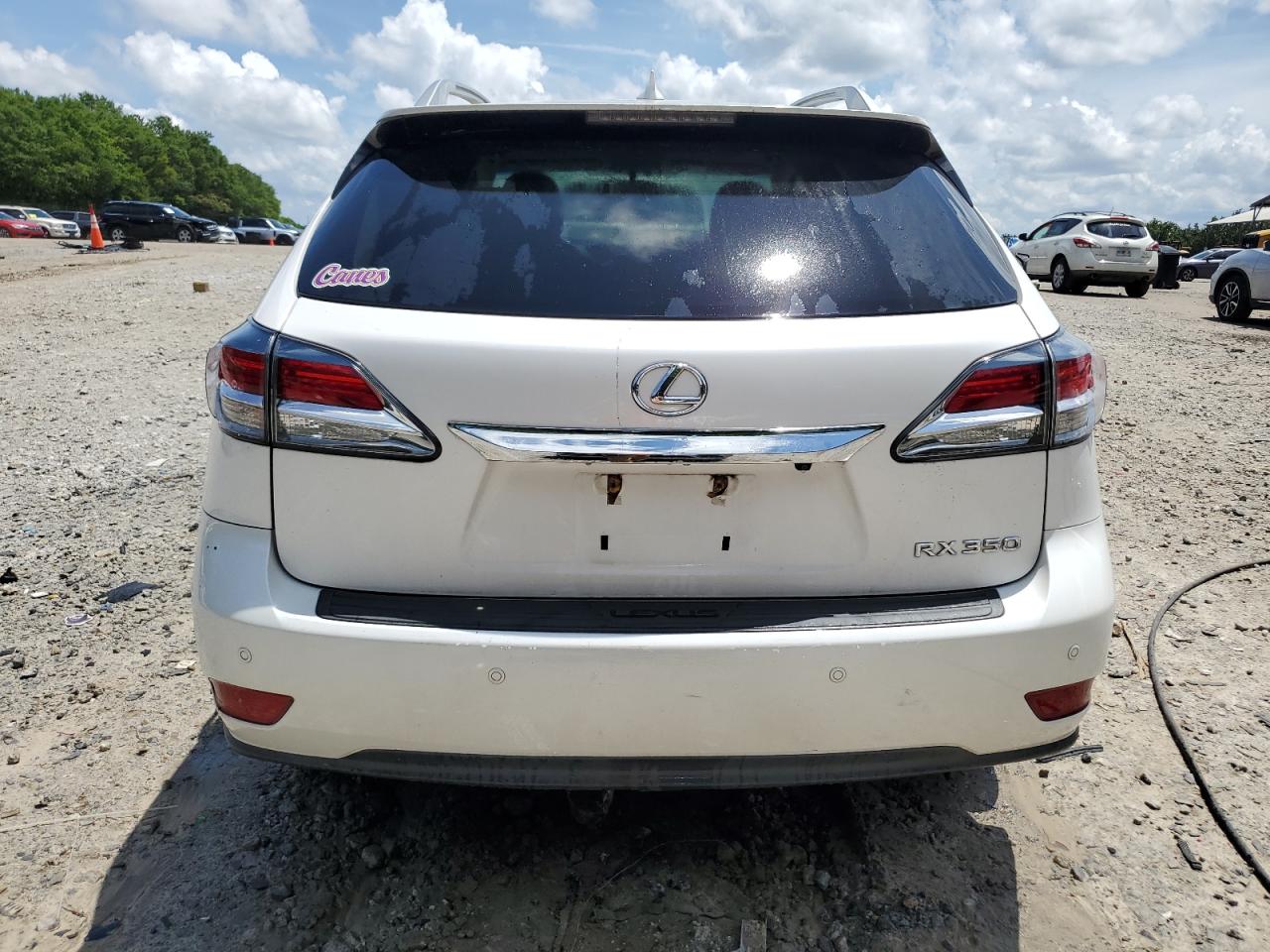 2014 Lexus Rx 350 VIN: 2T2ZK1BA1EC133629 Lot: 60862635