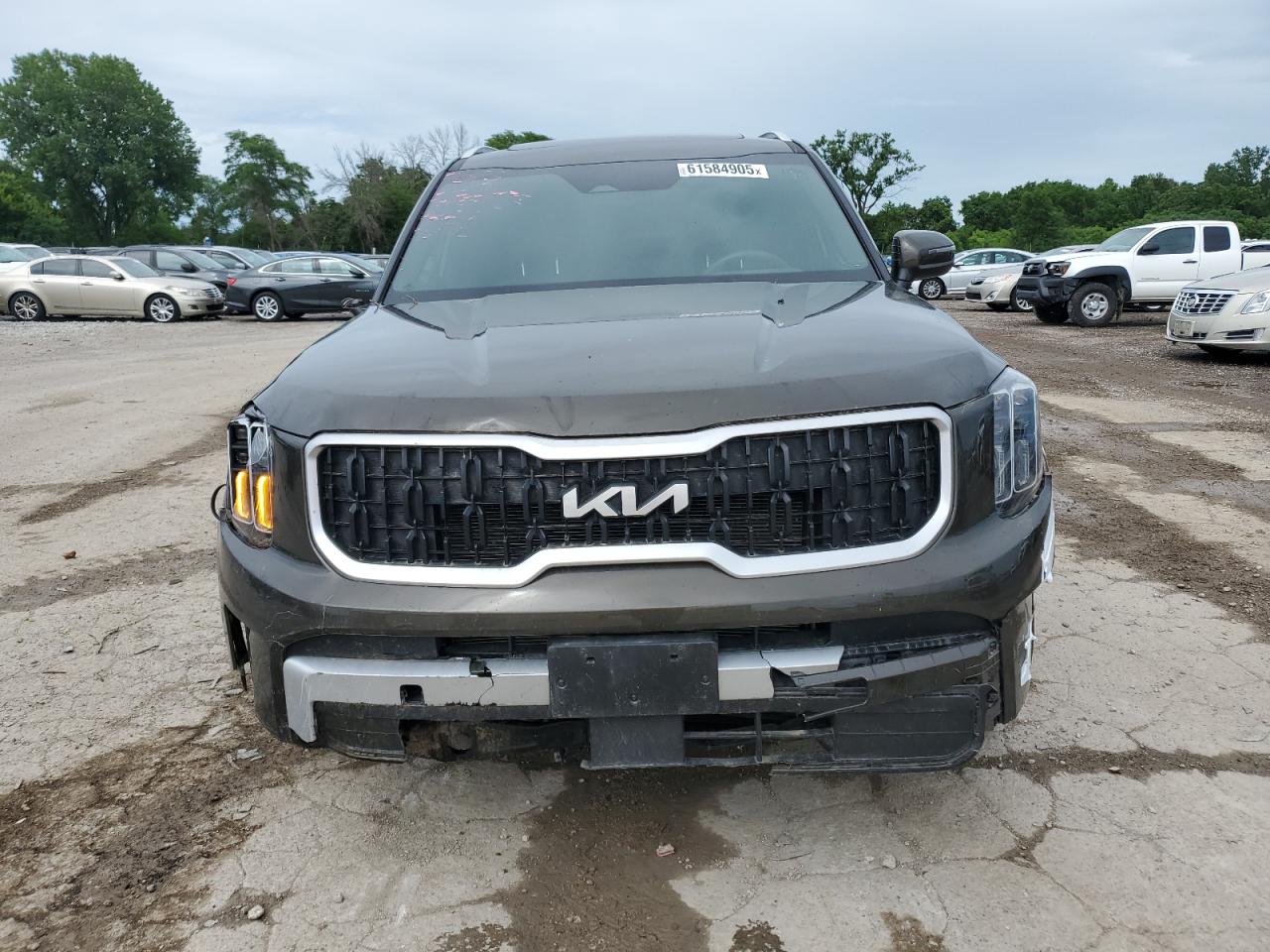 2024 Kia Telluride Ex VIN: 5XYP34GC6RG453852 Lot: 61584905