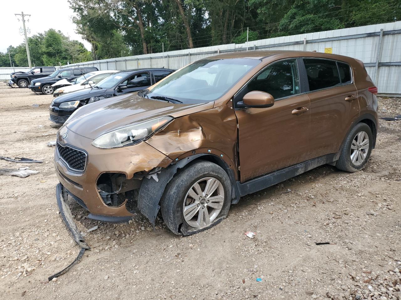 KIA SPORTAGE 2019 VIN KNDPM3AC2K7533071