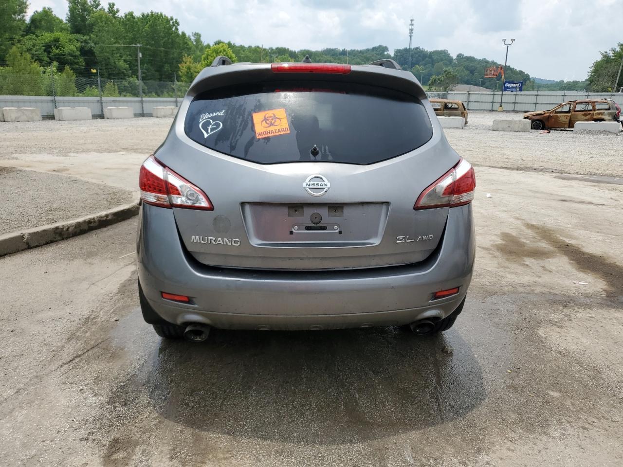 2013 Nissan Murano S VIN: JN8AZ1MW5DW307010 Lot: 60618675