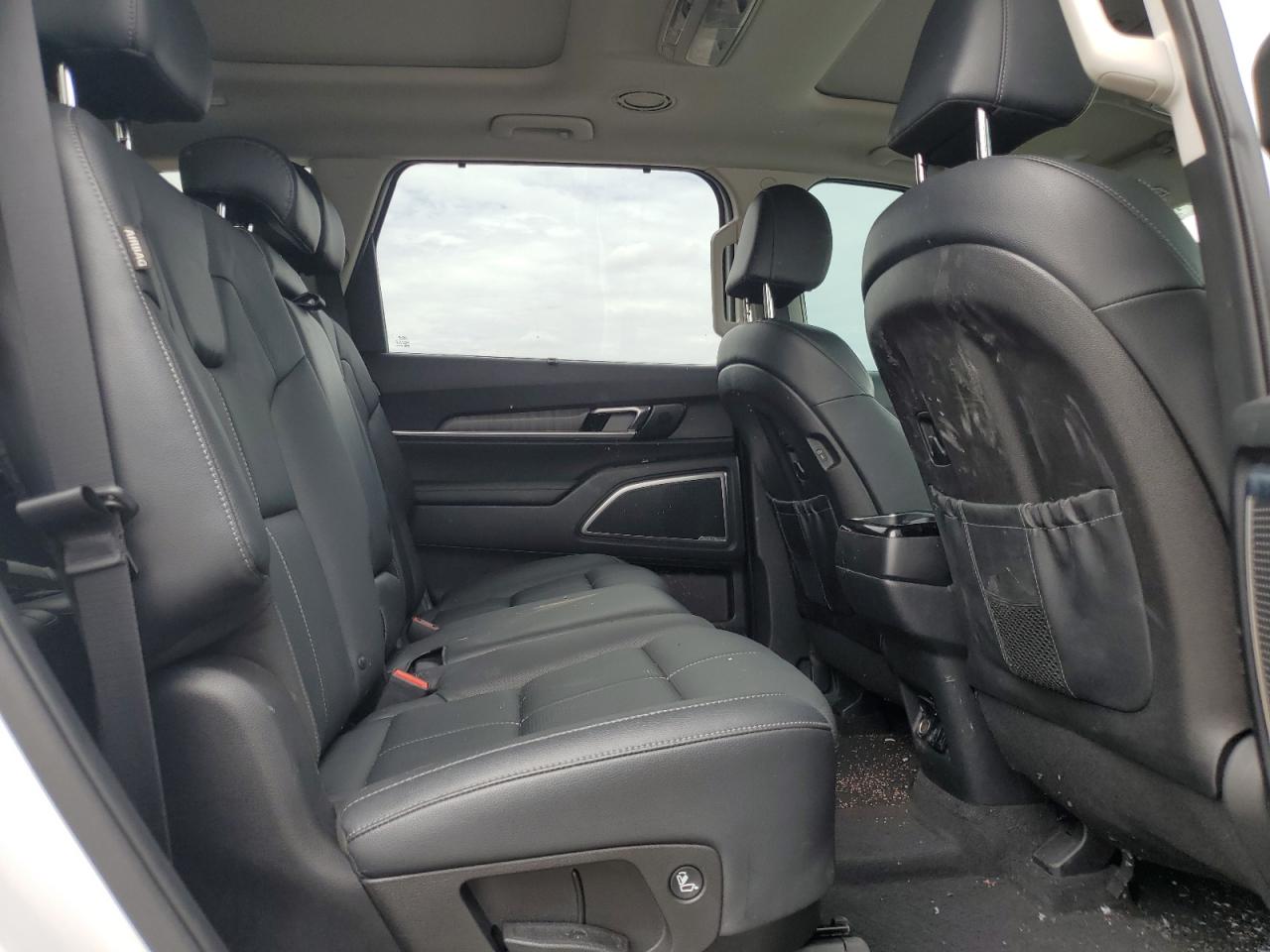 2023 Kia Telluride Sx VIN: 5XYP5DGC4PG360819 Lot: 62531715