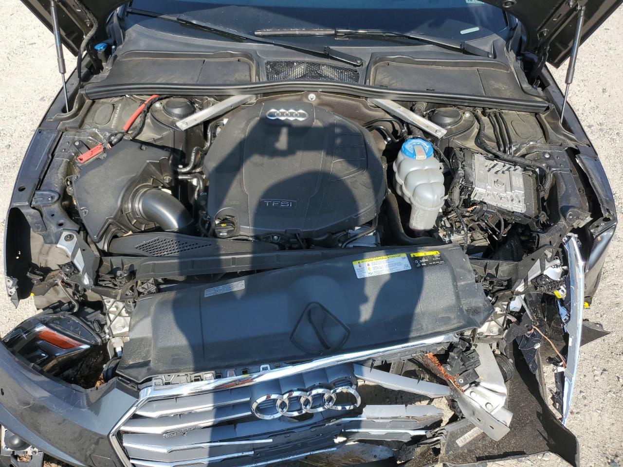 2019 Audi A5 Prestige S-Line VIN: WAUFNCF50KA020484 Lot: 62816745