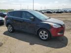 2014 Ford Escape Se for Sale in Woodhaven, MI - Side