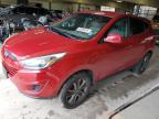 2014 Hyundai Tucson Gls იყიდება Indianapolis-ში, IN - Hail