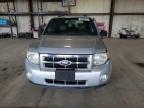 2009 Ford Escape Xlt   zu verkaufen in Eldridge, IA - Side