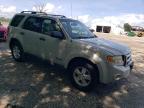 2008 Ford Escape Xlt იყიდება Cicero-ში, IN - Rear End