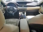 2016 Lexus Es 350   for Sale in Ocala, FL - Rear End