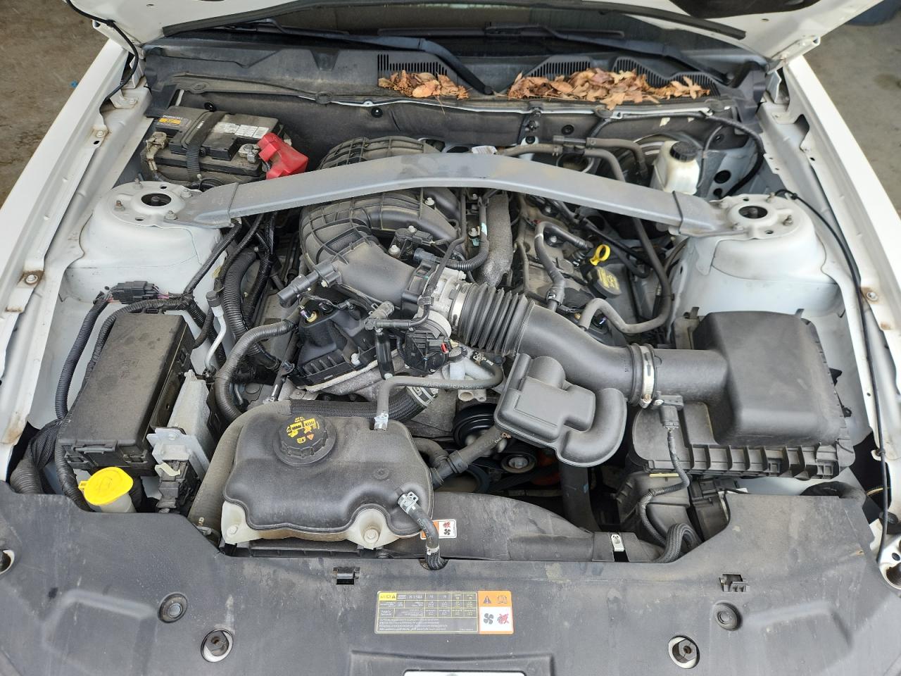 2012 Ford Mustang VIN: 1ZVBP8EM8C5286375 Lot: 62468165