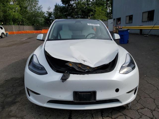  TESLA MODEL Y 2023 Biały