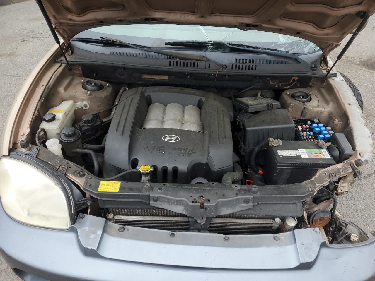 2004 Hyundai Santa Fe Gls VIN: KM8SC73D04U728371 Lot: 63073085