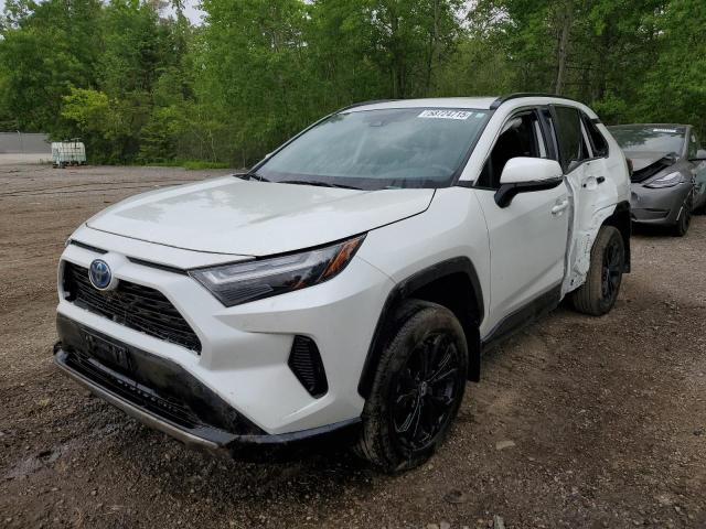 TOYOTA RAV4 SE 2023