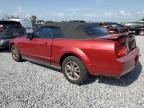 2005 Ford Mustang  for Sale in Riverview, FL - Rear End