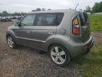 2010 Kia Soul + en Venta en Central Square, NY - Minor Dent/Scratches