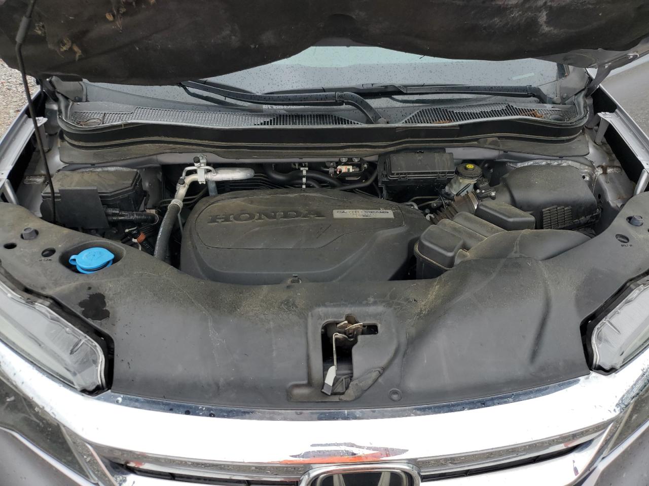 5FNYF5H56KB012690 HONDA PILOT 2019