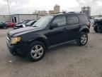 2011 Ford Escape Limited на продаже в New Orleans, LA - All Over