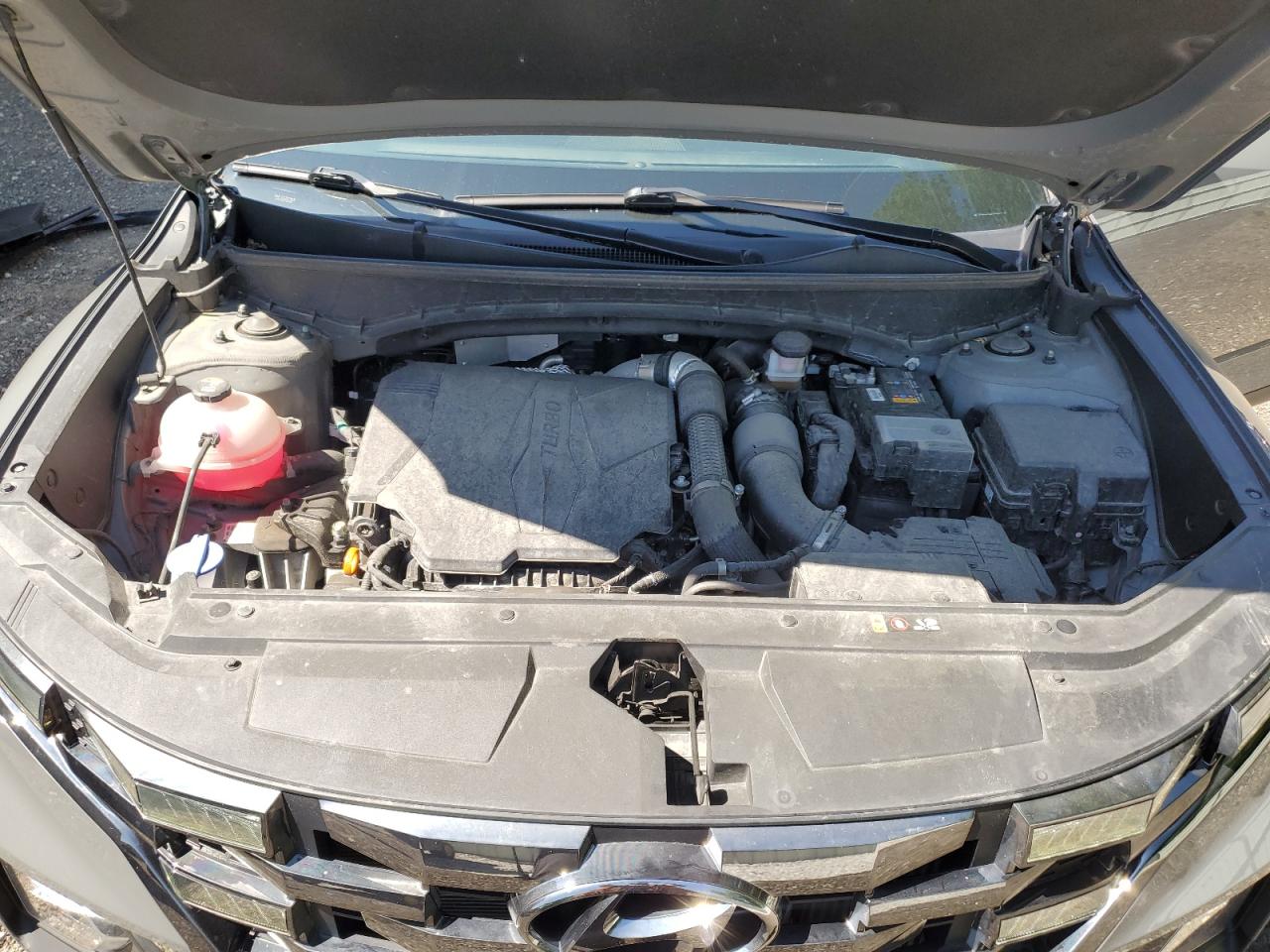 2023 Hyundai Santa Cruz Night VIN: 5NTJCDAF3PH076056 Lot: 62317335