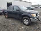 2005 Nissan Frontier Crew Cab Le продається в Windsor, NJ - Minor Dent/Scratches