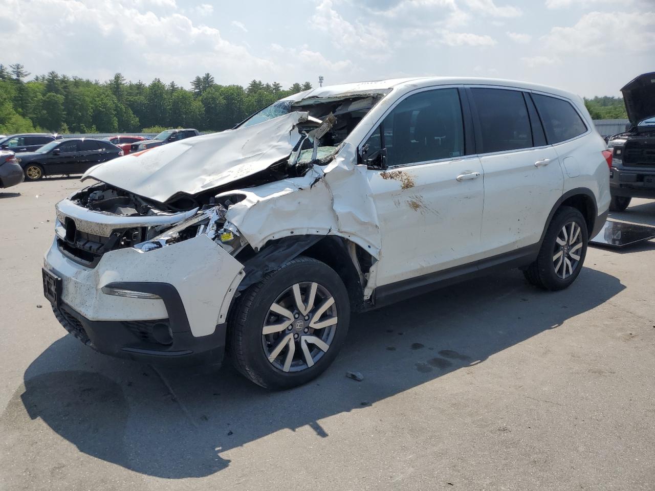 5FNYF6H5XMB086185 HONDA PILOT 2021