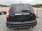 Barberton, OH에서 판매 중인 2010 Honda Cr-V Exl - Front End