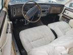 1977 CADILLAC DEVILLE   à vendre chez Copart FL - WEST PALM BEACH