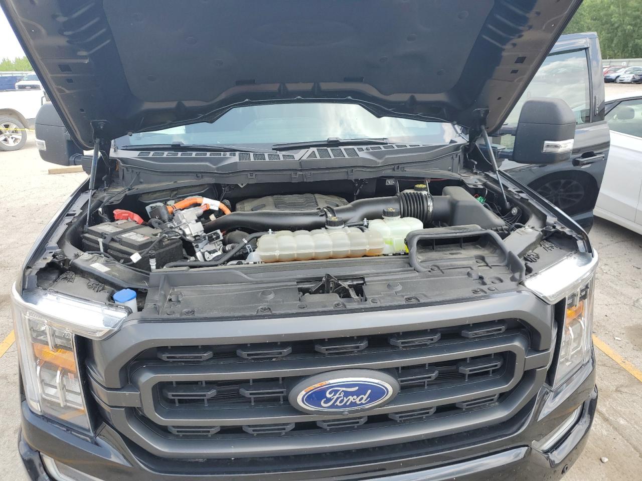 1FTFW1ED3MFA97806 FORD F-150 2021