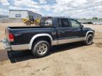 2003 Dodge Dakota Quad Slt for Sale in Colorado Springs, CO - Minor Dent/Scratches