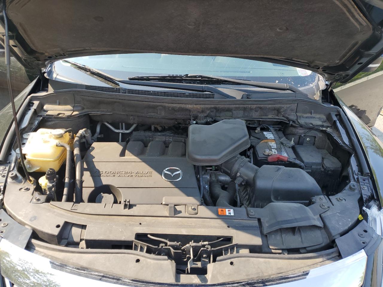 2010 Mazda Cx-9 VIN: JM3TB3MV0A0226563 Lot: 62030205