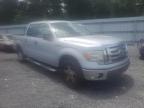 2012 Ford F150 Supercrew na sprzedaż w Riverview, FL - Rear End