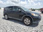 2013 Honda Cr-V Ex en Venta en Arcadia, FL - Minor Dent/Scratches
